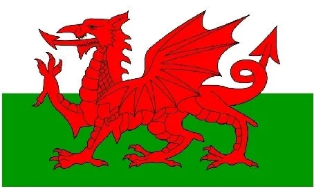 Aerona Welsh Dragon Kilt Pin