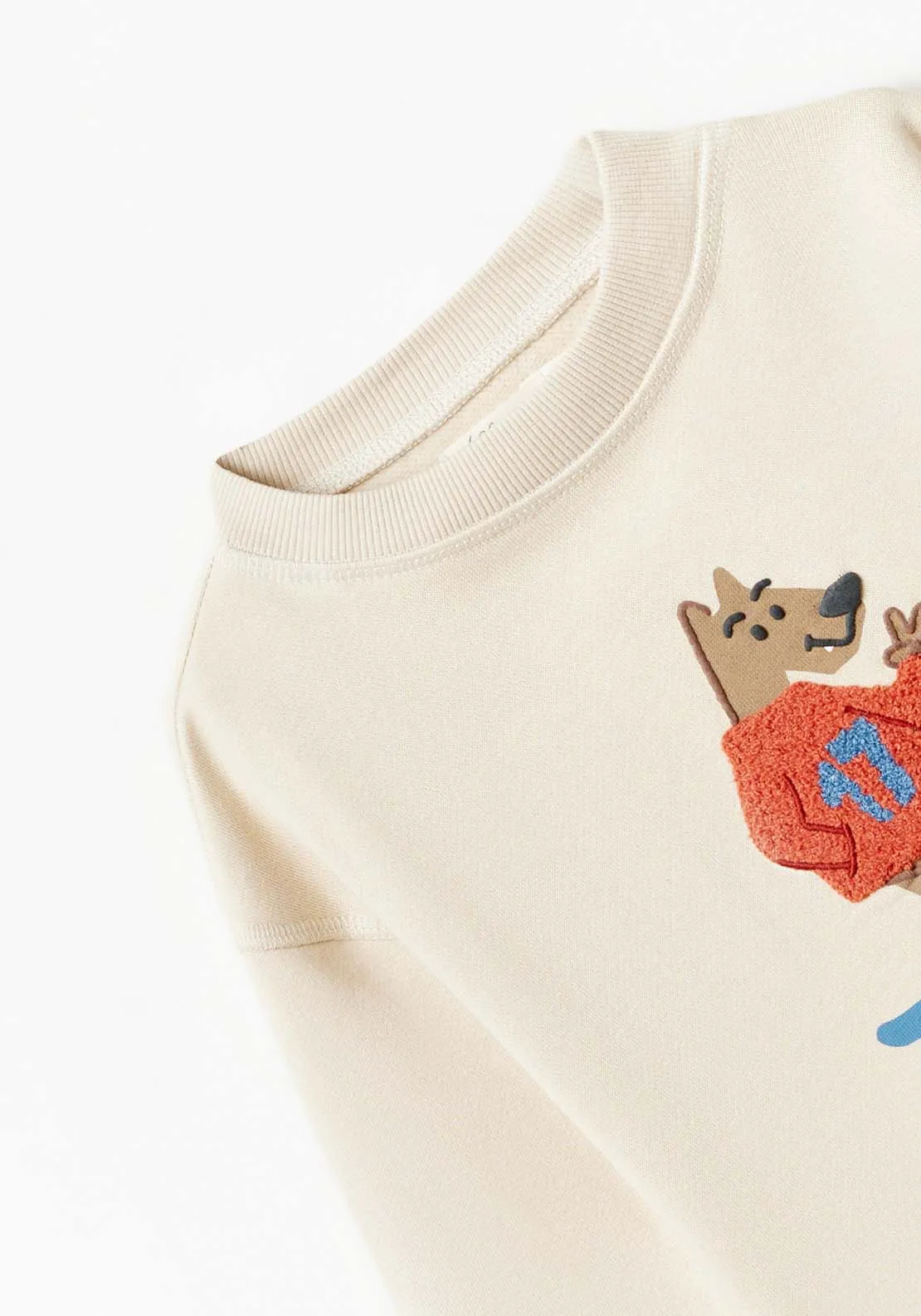 Baby Boy Long Sleeve Skating Dog Sweatshirt - White