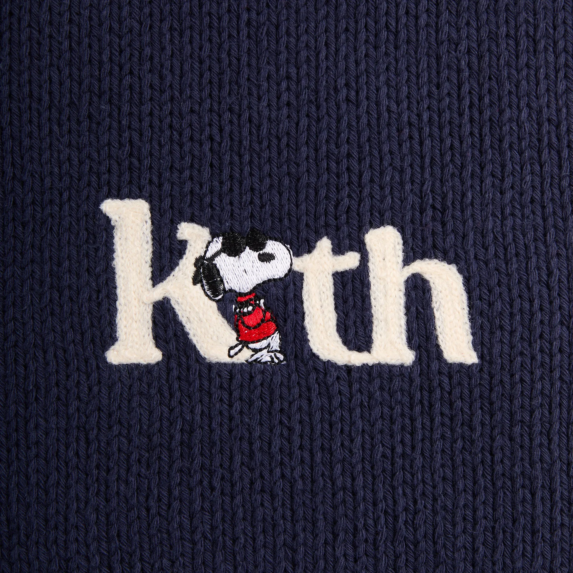 Kith for Peanuts Globe Wyona Full Zip Sweater - Nocturnal