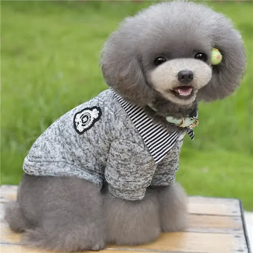 Puppy Pet Dog Coat Jackets
