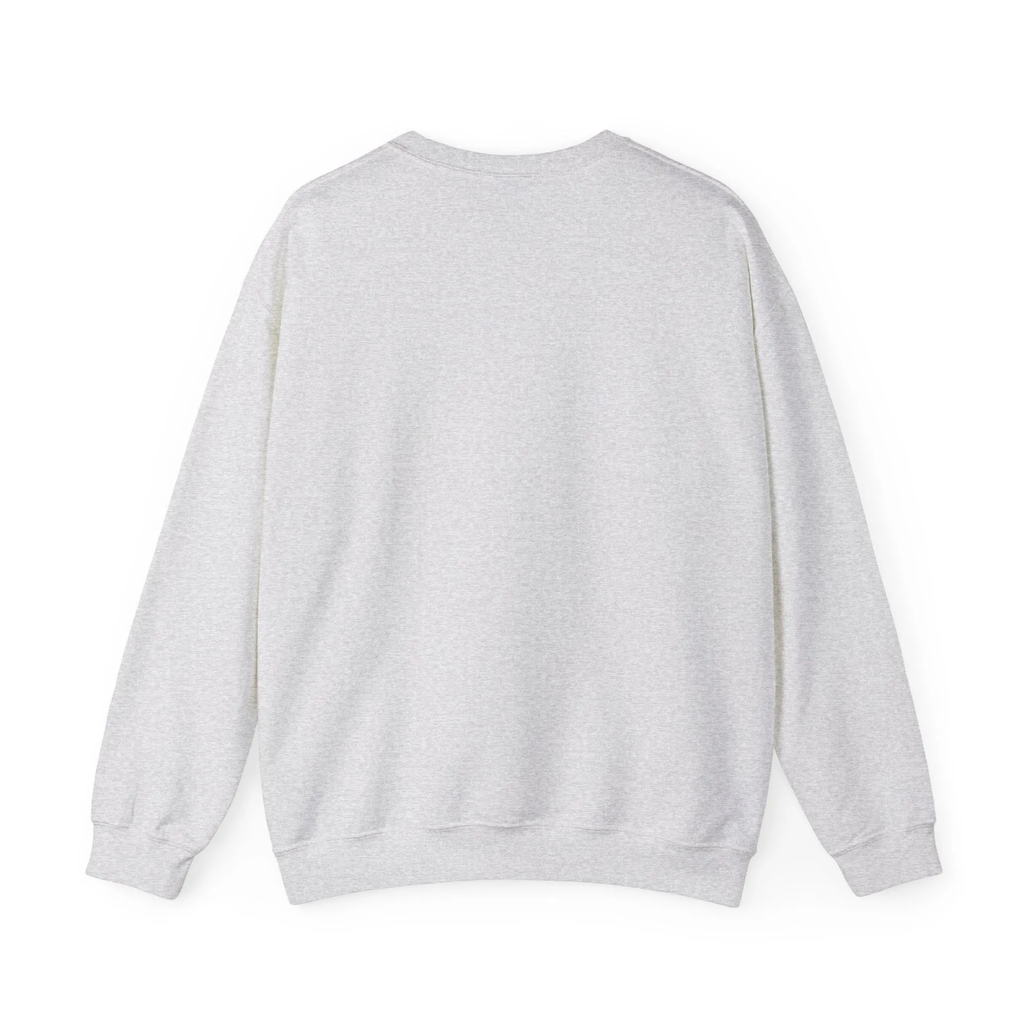 Spacebear Sweatshirt