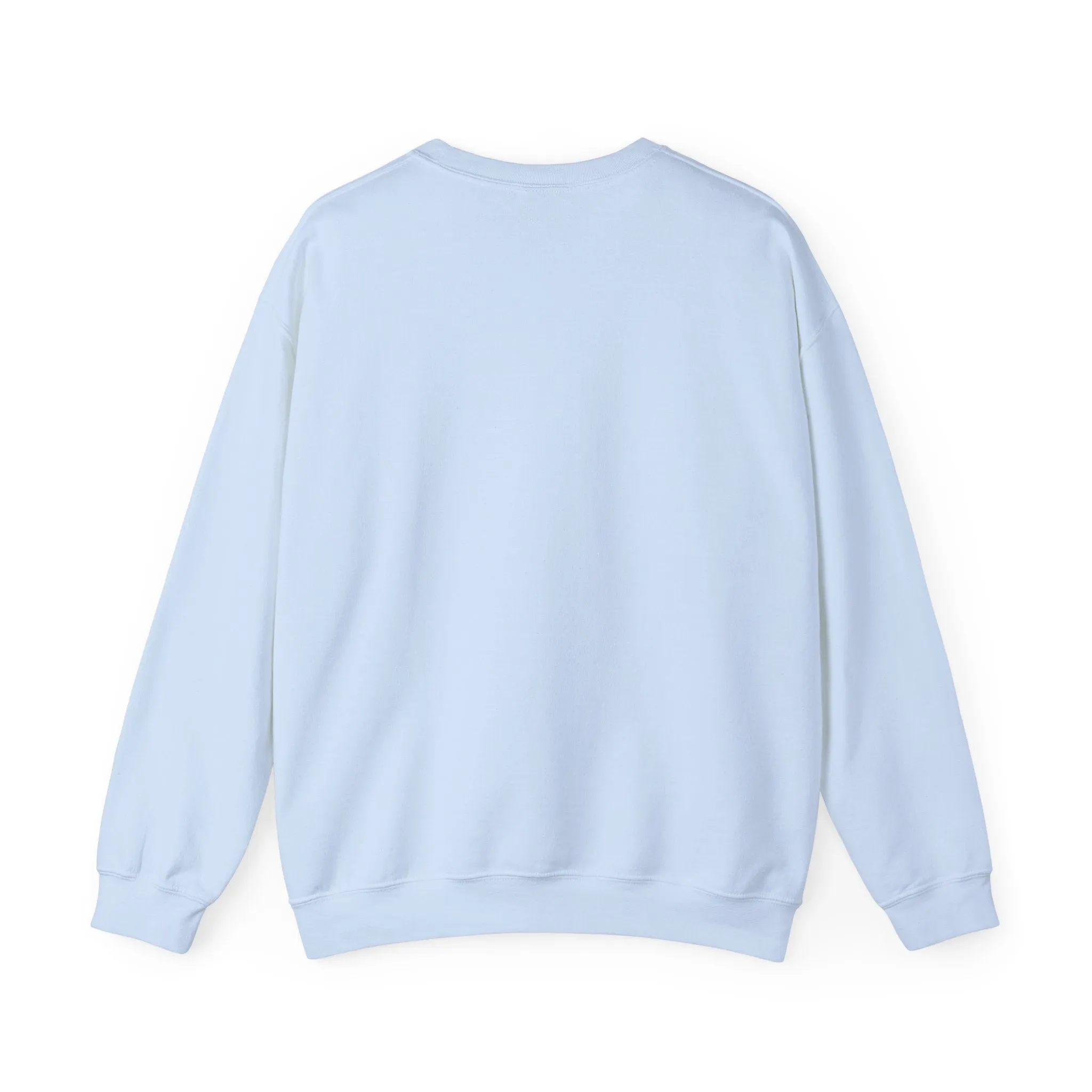 Spacebear Sweatshirt