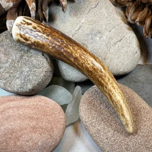 Stag Antler Kilt Pin