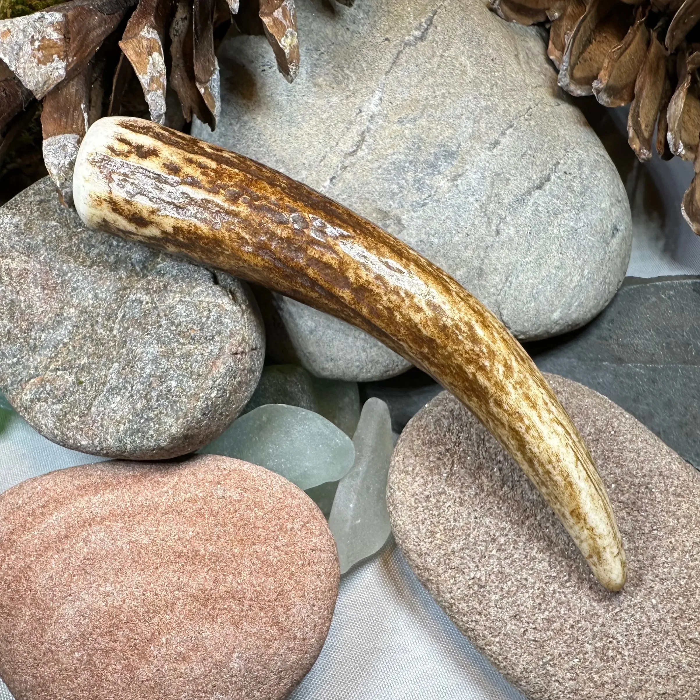 Stag Antler Kilt Pin