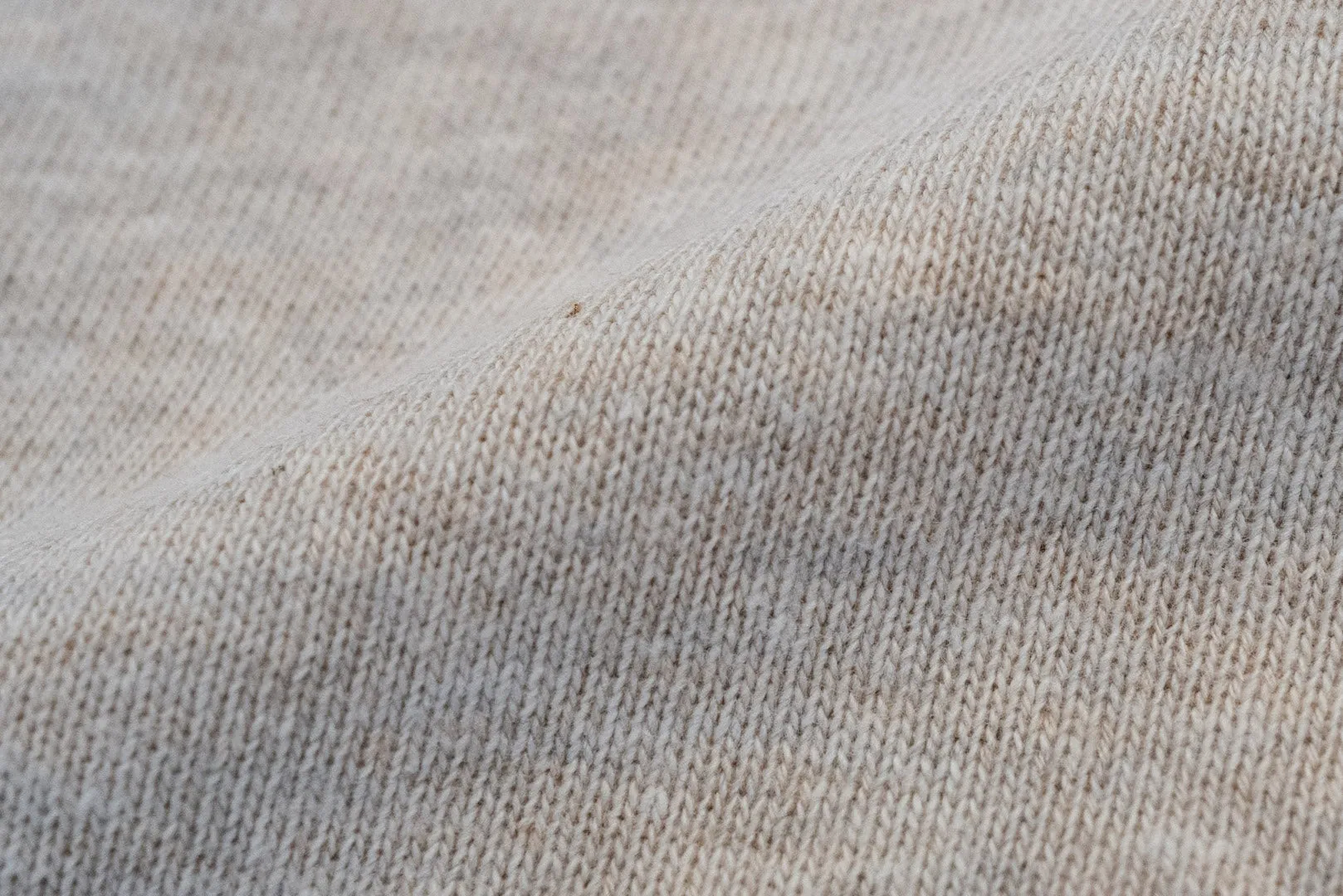Warehouse Lot.401 10oz "Standard" Loopwheeled Sweatshirt (Oatmeal)