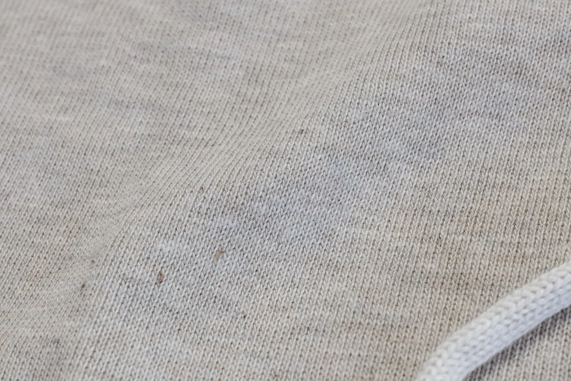 Warehouse Lot.450 10oz Loopwheeled Pull Over (Oatmeal)